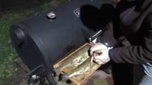 ФОРЕЛЬ В СМОКЕРЕ OKLAHOMA JOE!)