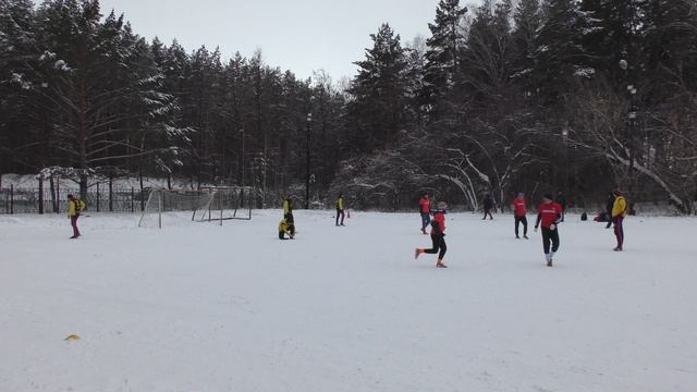 23.11.25 Товарищ-Торгшина 2-1 (второй тайм)