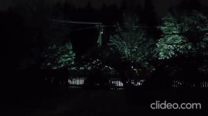 страшные исории из жизни. военный на болоте, лось без головы, рожа в костре