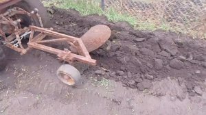 🌱Ноябрьский урожай💪заодно нахаживаем шаги🏃3800 шагов следом за трактором🚜😂