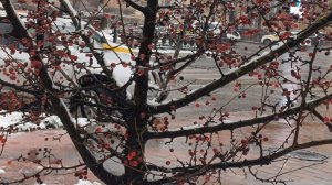 Полезный завтрак. Гостинцы из Армении!