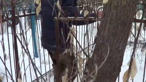 СЕАНС ЭГФ на старом кладбище. Нас напугал РЕЙК! Поиски могилки бабушки