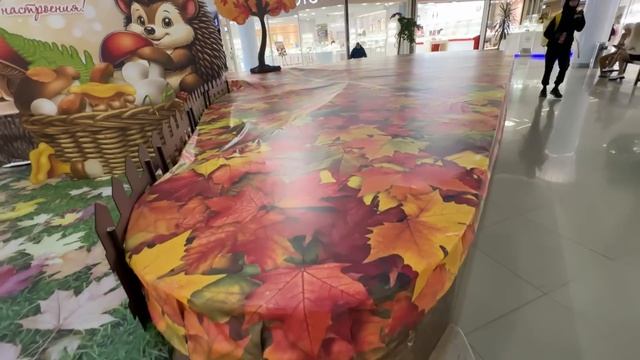 ВЛОГ Мой любимый ГЕЛЬ для стирки ЗАПРОСТО / Шоппинг с Алисой для школы ! Лёша снова СНИМАЕТ ВИДЕО ✅ смотреть онлайн