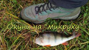 РЫБАЛКА ПОЗДНЕЙ ОСЕНЬЮ НА МИКРОДЖИГ И МОРМЫШИНГ