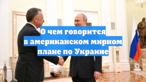 О чем говорится в американском мирном плане по Украине