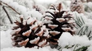 Доброе Утро Понедельника! Удачной Недели