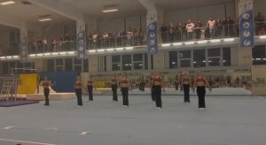 День гимнастики в ГБУ ДО ВО "СШОР им. Ю.Э. Штукмана". Воронеж.