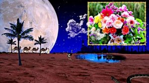 С Днём Рождения!!! Восточная сказка в День Рождения от Киностудии Мудрого Кота Тимофея!