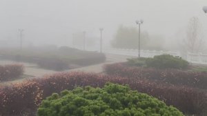 Утро туманное, утро осеннее, утро 23 ноября 2025