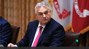 Орбан заявил о готовности выплачивать штраф за недопущение мигрантов в Венгрию