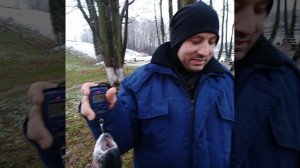 -8206247411476022632