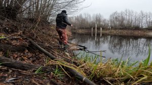 РЫБАЛКА НА ПОПЛАВОЧНУЮ УДОЧКУ 23 НОЯБРЯ