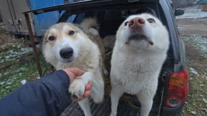 Удачный побег