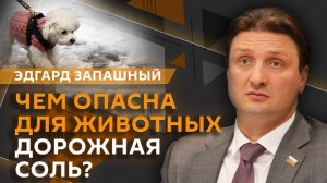 Эдгард Запашный. Поцелуи питомцев, вред от реагентов и "рабочие инструменты" животных