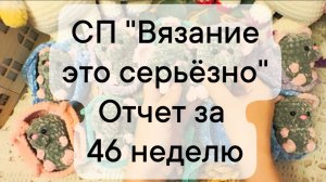 СП "Вязание это серьёзно"  отчет за 46 неделю