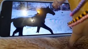 лошадка смотрит авангарт