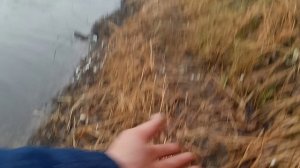 БЕШЕНЫЙ ЖОР ЩУКИ В КОНЦЕ НОЯБРЯ. А ехали за карасей.