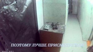 ВНУРТРЕННИЕ УБЕЖДЕНИЯ И ЗНАНИЯ