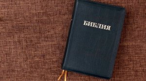 РАЗБОР СЛОВА 19.11.25