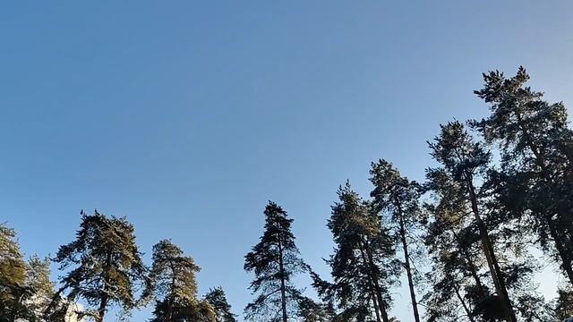 Мои стихи к празднику. И спасибо всем🌹