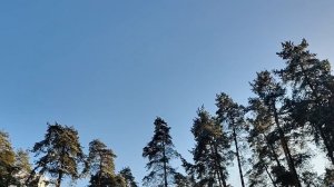 Мои стихи к празднику. И спасибо всем🌹