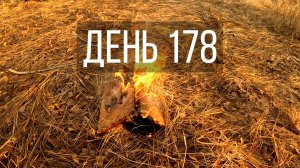 День 178