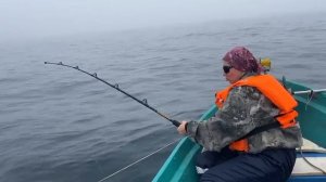 Рыбалка на акул