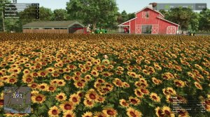 Farming Simulator 25 - урожай семечек и бобов