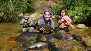 Ловля речной рыбы вручную с маленьким сыном для продажи на рынке. Веду хозяйство. Забота об утятах