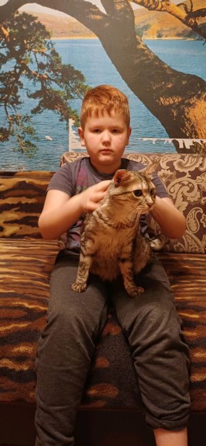 разговариваем