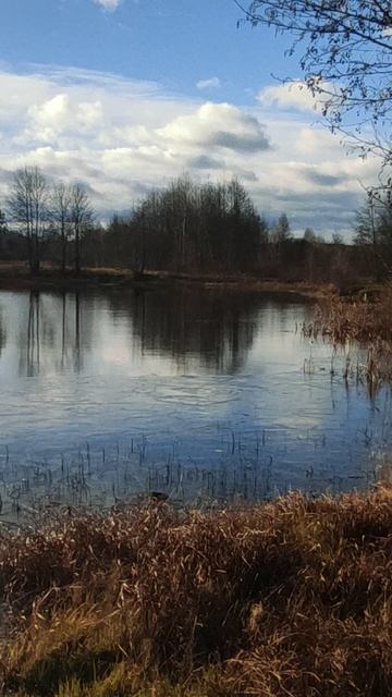 Осень смотреть онлайн