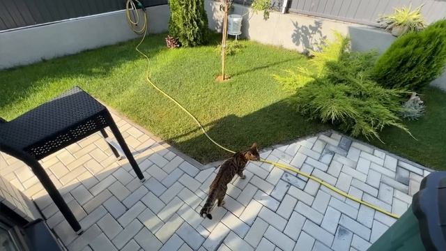 ВЛОГ Жара стоит АНОМАЛЬНАЯ ! У соседа инсульт / Делаю уборку дома уже несколько дней смотреть онлайн