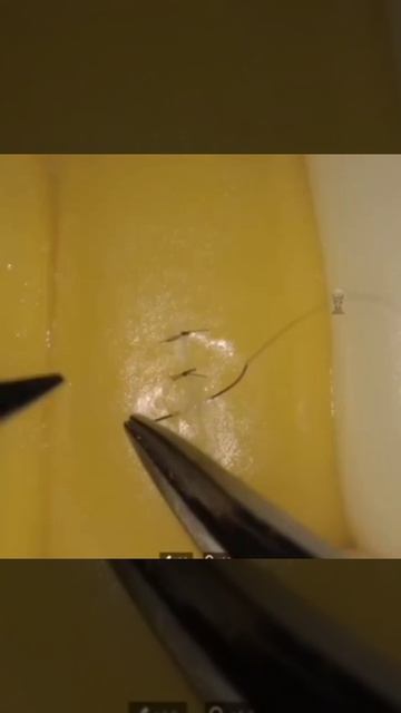 Робот проводит операцию на кукурузе