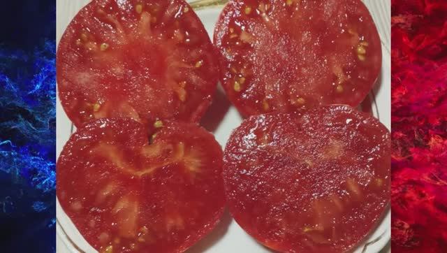 Каталог томатов на 2026 год. Часть 9. г. Киров  т. 89229284031