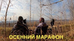 Осенний марафон