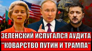 "Зеленский перепугался аудита"// Куда делись все деньги на Украину! Черные дыра поглатили миллиарды!