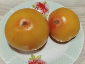 Каталог томатов - новинок 2025 года. Часть 5. г. Киров.  т. 89229284031