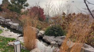 Японский сад «Шесть чувств». Мрия. Крым