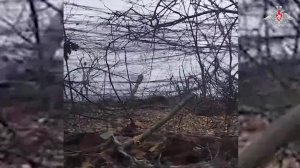 💥 Точные удары артиллерии