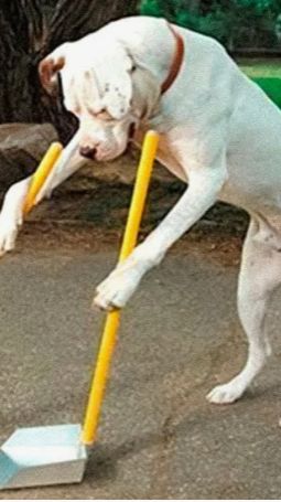 Лайфхак Совок для уборки мусора из строительных отходов – ПВХ ведра