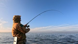 ГНУТЫЙ СПИННИНГ И КРУПНЫЕ ЩУКИ: ПРОВЕРЬТЕ ЭТУ ЭФФЕКТИВНУЮ ПРИМАНКУ!!!