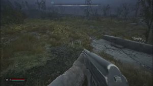 Сталкер 2 тайник магазин на обочине уникальная винтовка затон