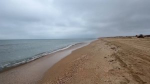 ВЛОГ Едем на море  в самый ЭПИЦЕНТР РАЗЛИВА МАЗУТА ! Благовещенка Анапа ! Где зимуют птицы  ?