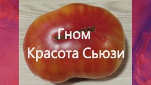 Томатные гномы.  т. 89229284031