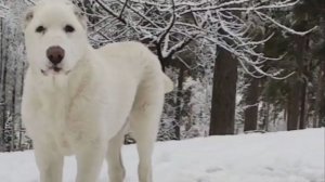 В добрый путь!