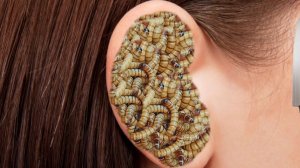 ASMR-анимация: Преображение. Глубокая инфекция уха. Часть 8.