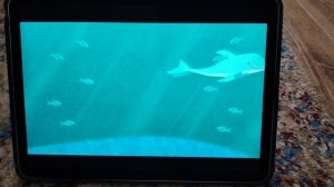 Buddy and numbers:blue