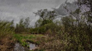 Весна. К приезду в деревню дождь пошел.