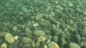 В море с головой