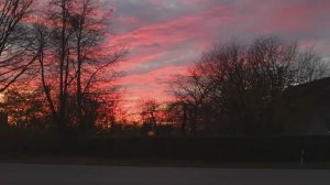 Несколько дней